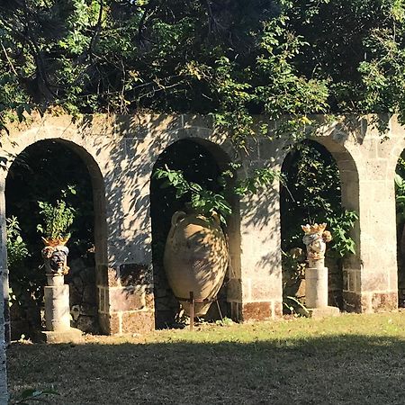 La Gallina Felice B&B Meta Zewnętrze zdjęcie