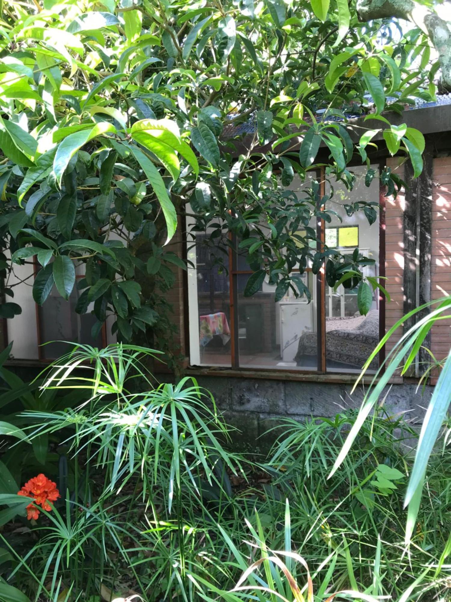 La Gallina Felice B&B Meta Zewnętrze zdjęcie